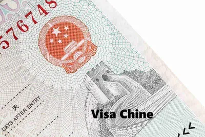 Action Visas, photo 6