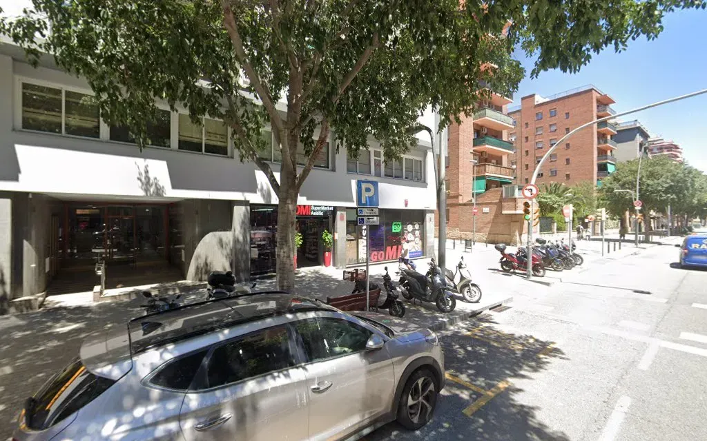 Centro de Visados de India en Barcelona (BLS)