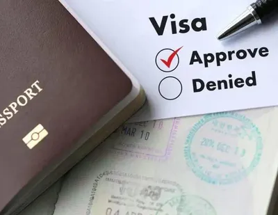 INTERVISA, photo 4