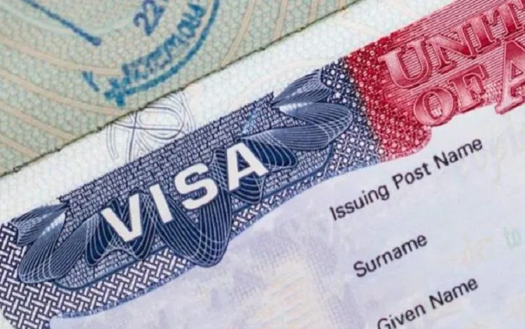 INTERVISA, photo 1