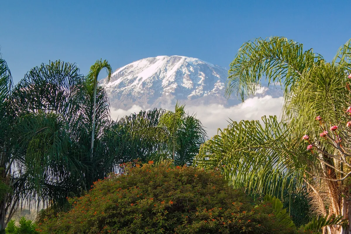 El Kilimanjaro
