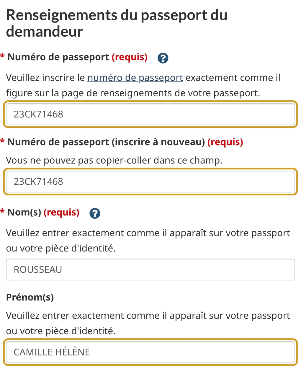 Numéro de passeport saisi deux fois, nom ROUSSEAU et prénoms CAMILLE HÉLÈNE